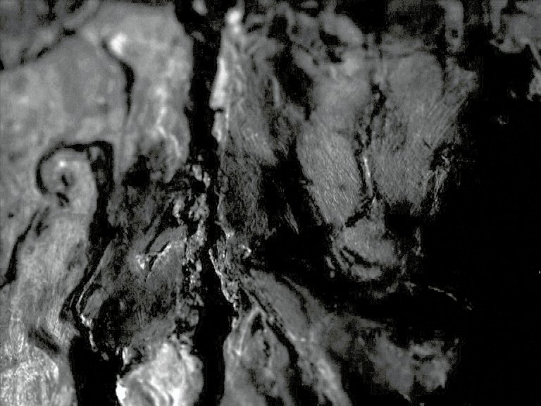 Image Caption